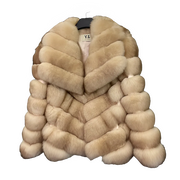 1d276e0b-694e-431f-bf0c-2b69ce0da2c6