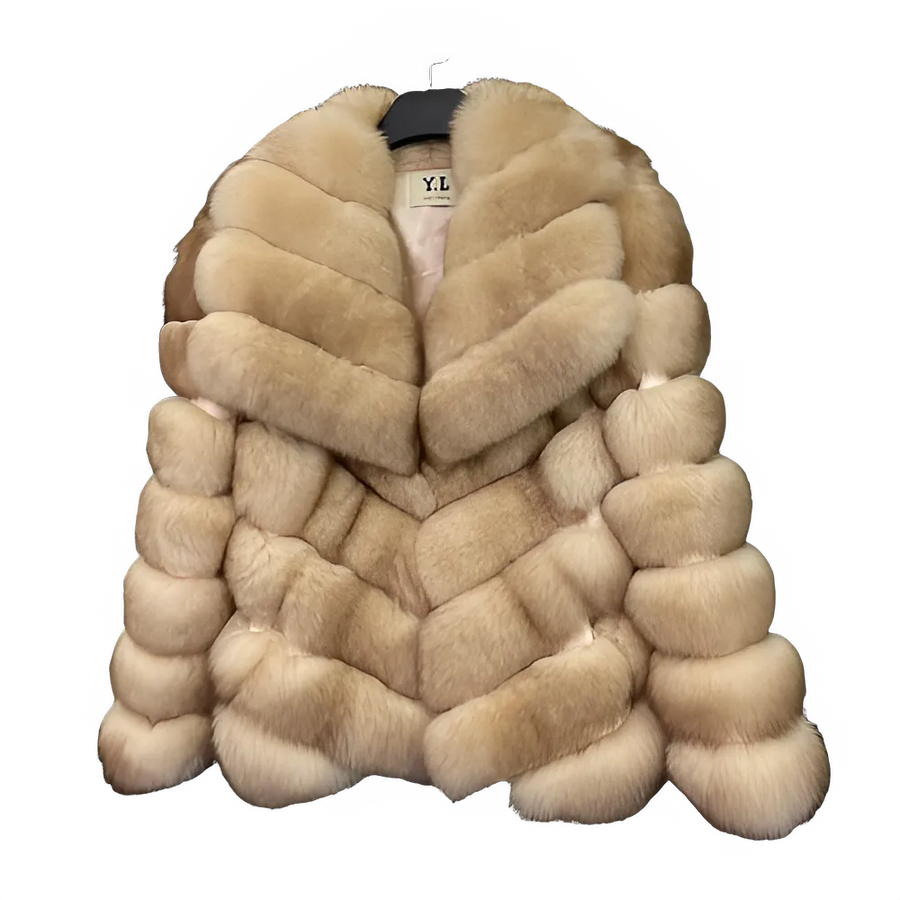 1d276e0b-694e-431f-bf0c-2b69ce0da2c6