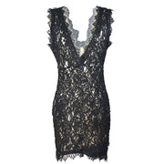 Lace Plunge Mini Dress