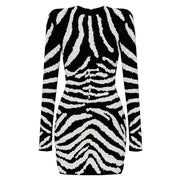 Zebra Knit Mini Dress