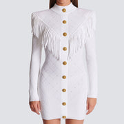 Leontine Fringe + Knit Mini Dress