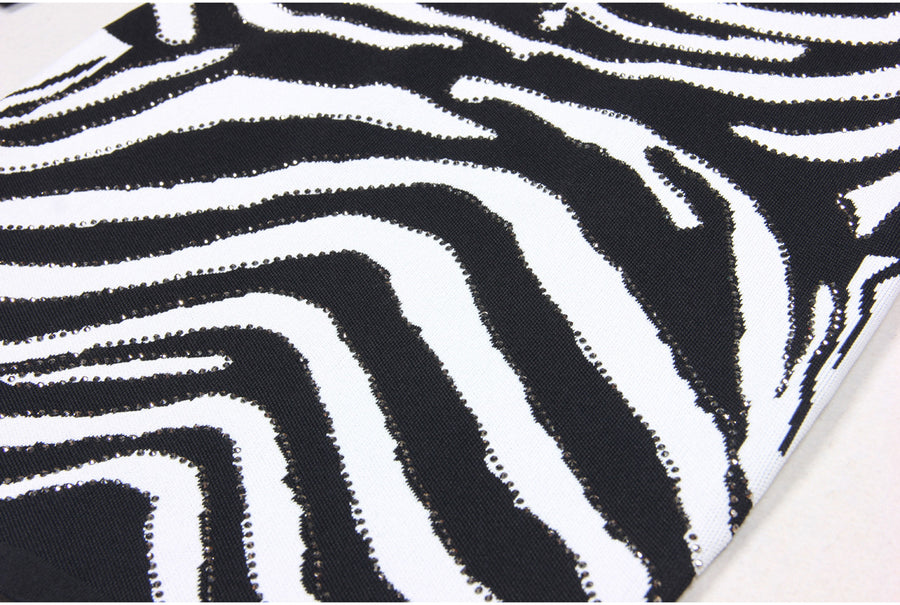 Zebra Knit Mini Dress