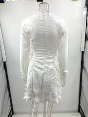 Long Sleeve Tied Lace V neck Slim Fit Dress