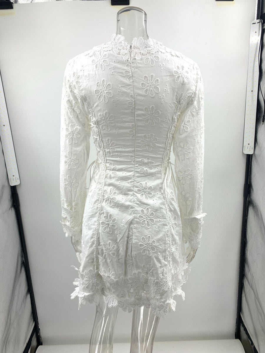 Long Sleeve Tied Lace V neck Slim Fit Dress