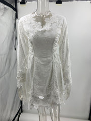 Long Sleeve Tied Lace V neck Slim Fit Dress