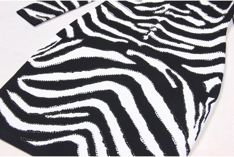 Zebra Knit Mini Dress