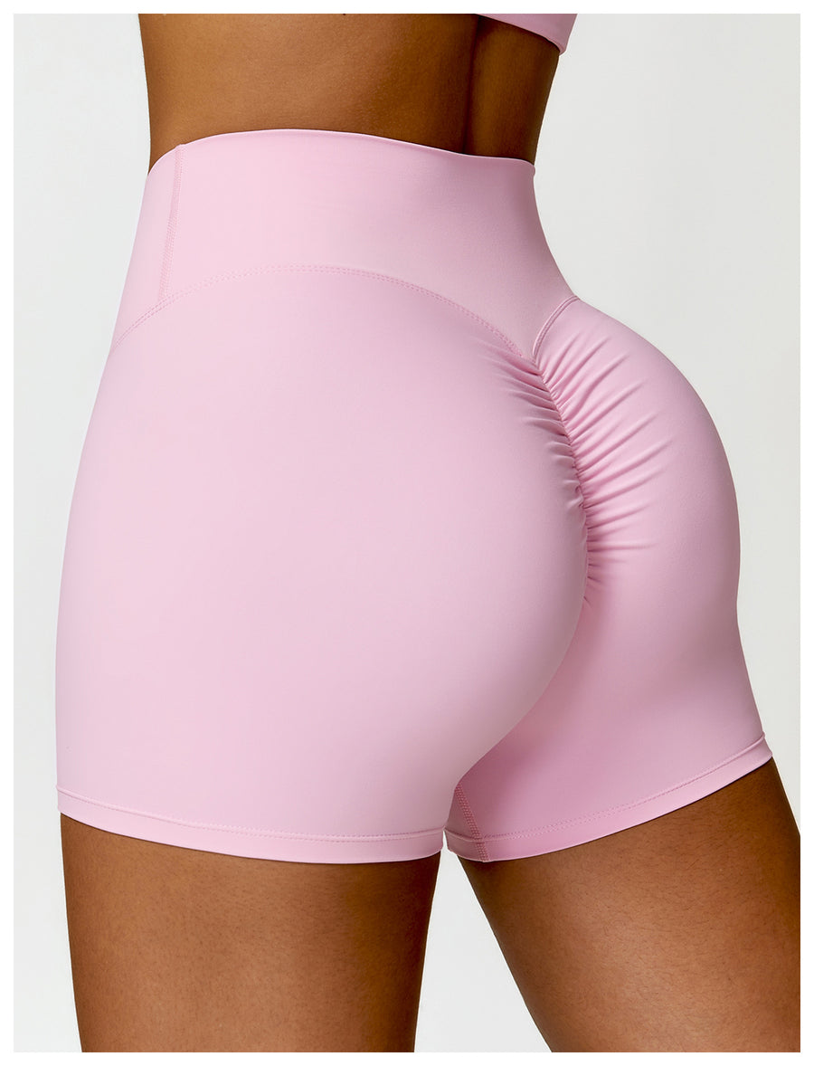 Lydia High Rise Nylon Shorts