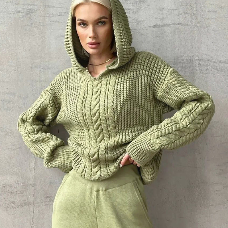 Sage Hooded Knit Sweater